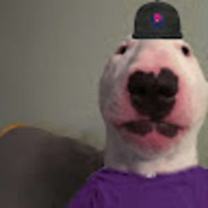 Meet your Posher, Brayden